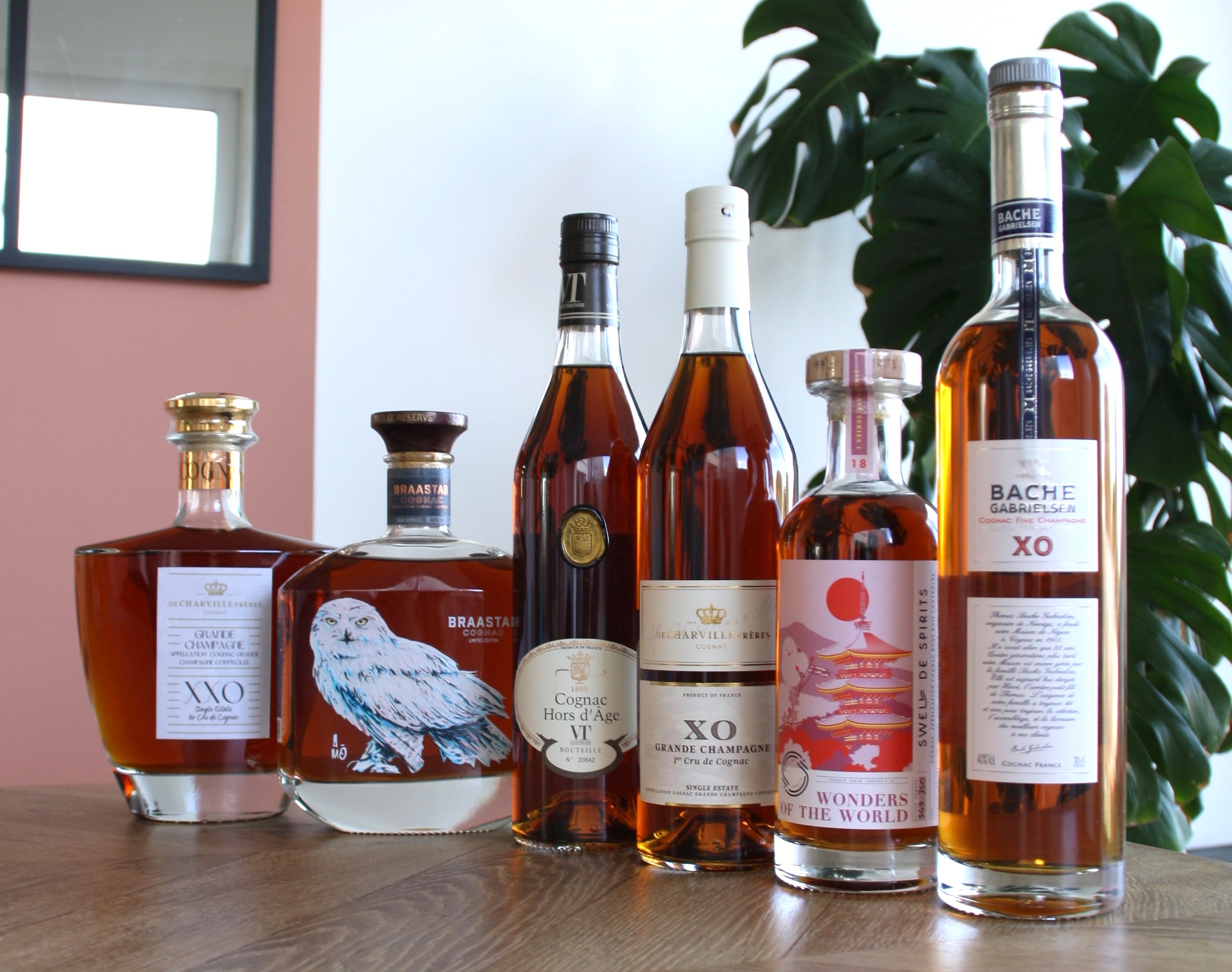 Dégustation cognac décembre 2024 - Ma Dégustation privée